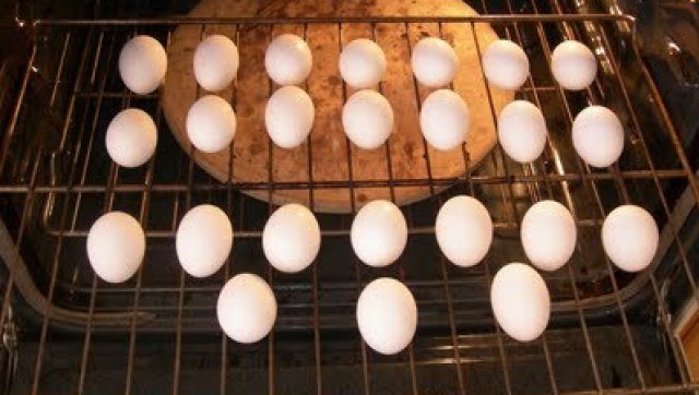 bake-eggs-oven