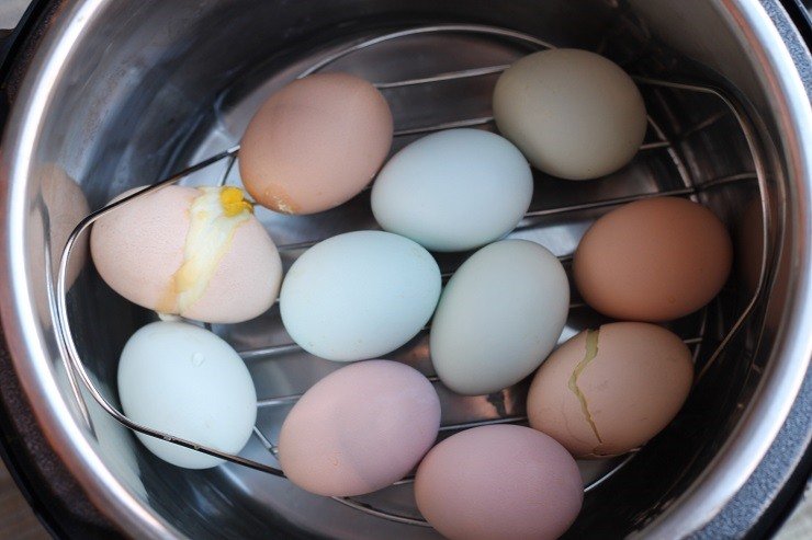 eggs-steamer-rack